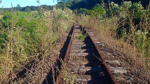 Prefeitura registra boletim de ocorrência por furto de dormentes e trilhos de trem próximo à Assis