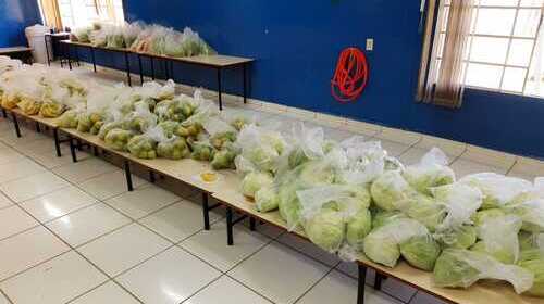Prefeitura já entregou mais de 10 mil Kits Alimentação